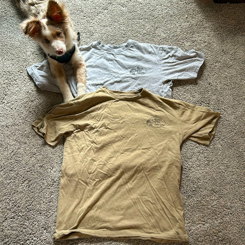 Bass pro shop shirts: gray and tan